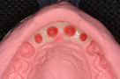 Fig. 20